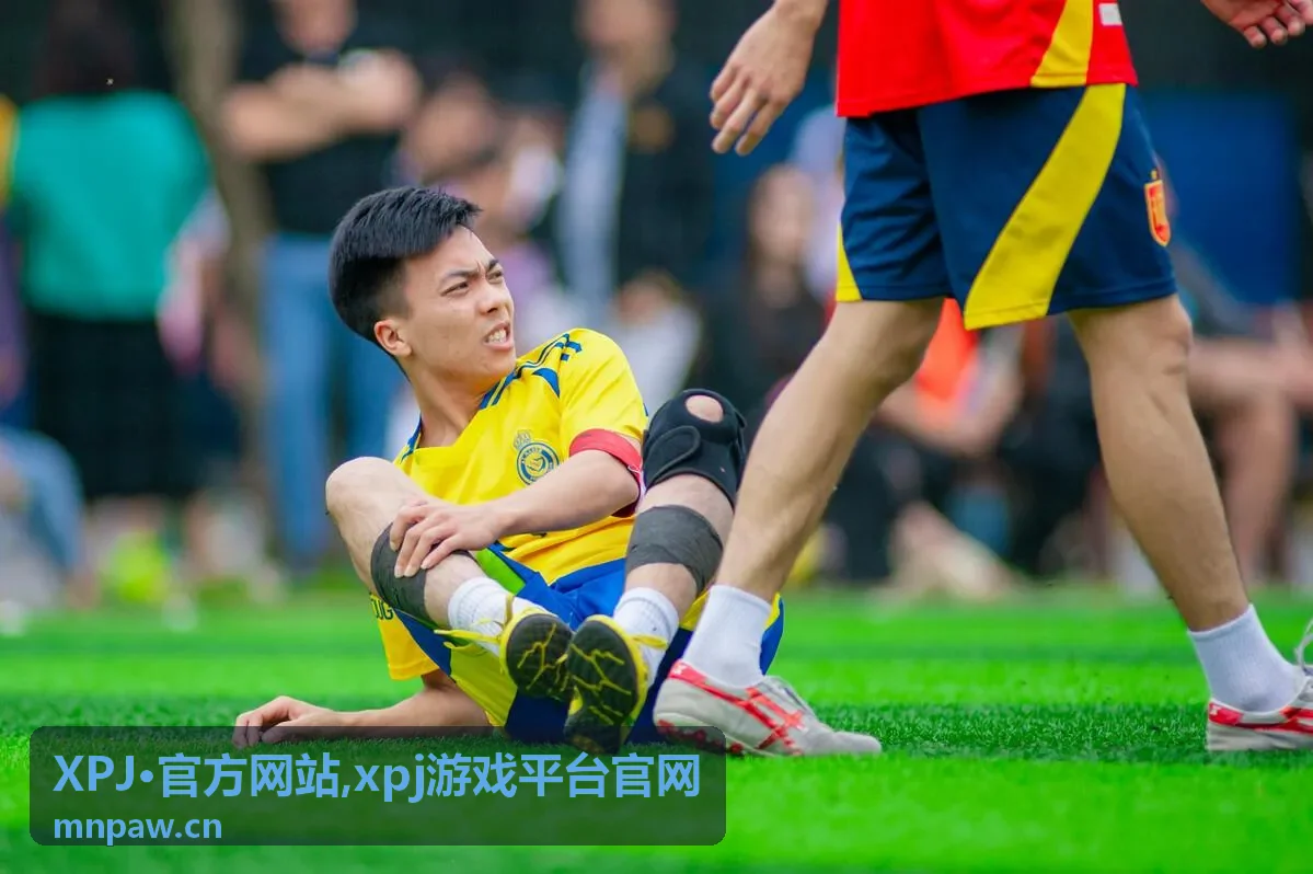 XPJ·官方网站xpj游戏平台官网入口说明示意图